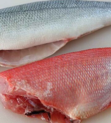 Pescados y Mariscos